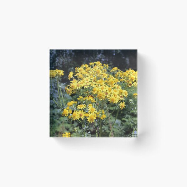 Item preview, Yellow Wild Flowers designed and sold by pinkal.