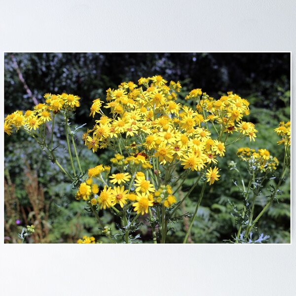 Item preview, Yellow Wild Flowers designed and sold by pinkal.