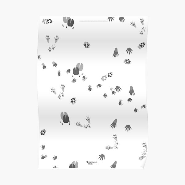 Tierfährten für Stadtwildtiere Poster