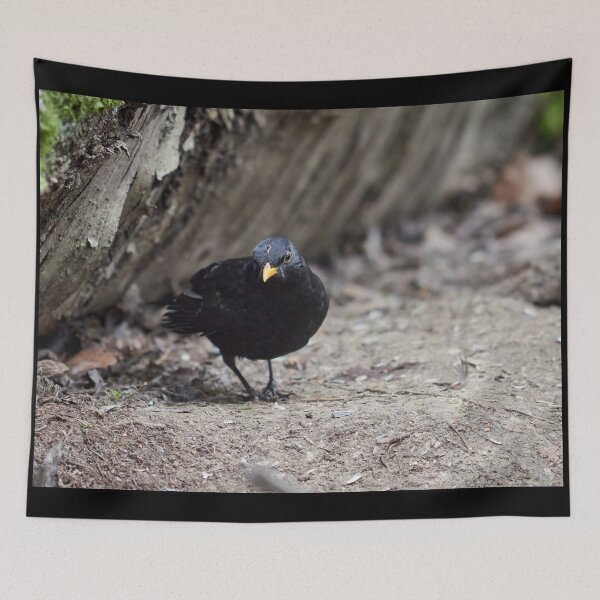 Item preview, Hard life hard ground. Eurasian blackbird designed and sold by Jouko Lehto Photography.