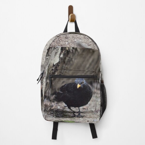 Item preview, Hard life hard ground. Eurasian blackbird designed and sold by Jouko Lehto Photography.