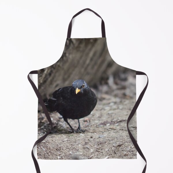 Item preview, Hard life hard ground. Eurasian blackbird designed and sold by Jouko Lehto Photography.