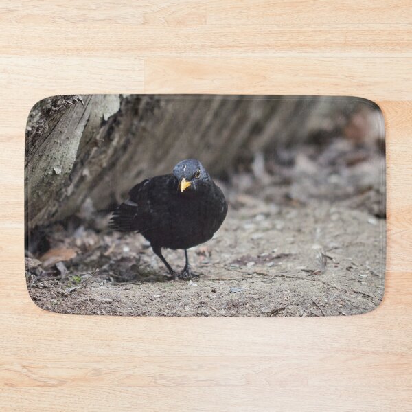 Item preview, Hard life hard ground. Eurasian blackbird designed and sold by Jouko Lehto Photography.