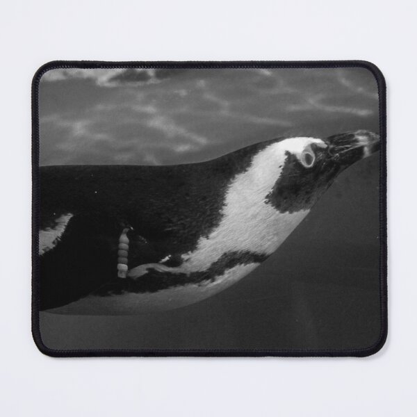 Item preview, Black & White Penguin Underwater designed and sold by Sadeshots.