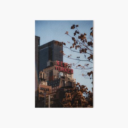 Artikel-Vorschau von Der New Yorker, designt und verkauft von ashleybravickphoto.
