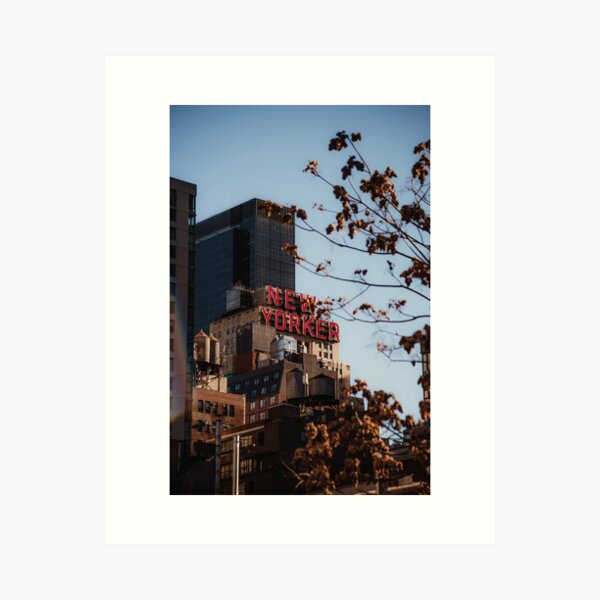 Artikel-Vorschau von Der New Yorker, designt und verkauft von ashleybravickphoto.