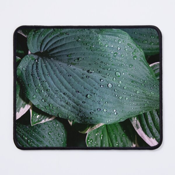 Item preview, Raindrops designed and sold by Daniel's Destinations.