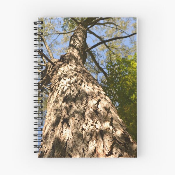 Item preview, Looking Up A Tree  designed and sold by laurenodegard.