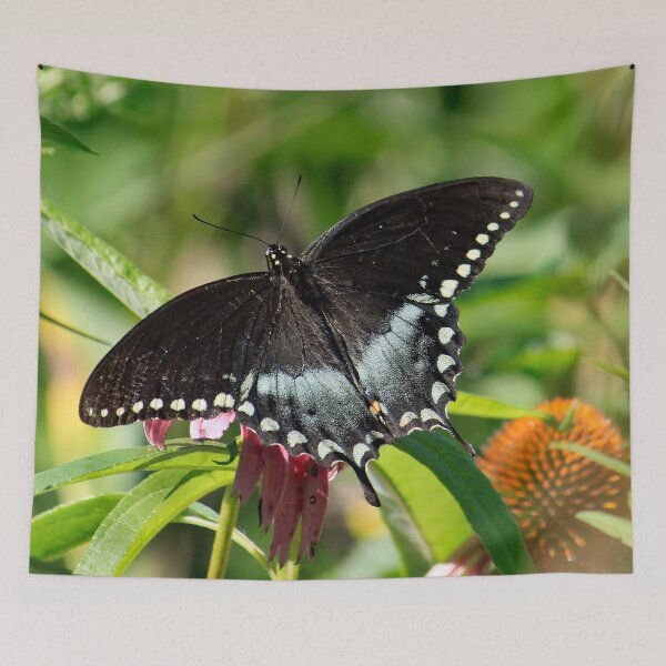Item preview, Spicebush Swallowtail Butterfly 85 designed and sold by Strawflower Oasis.