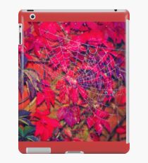 Spinne, Spinne iPad-Hülle & Klebefolie