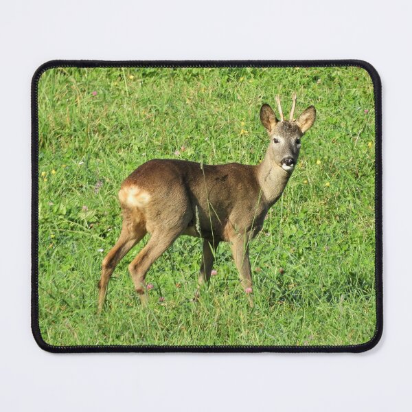 Item preview, Roebuck designed and sold by Chiara Brugnoli.
