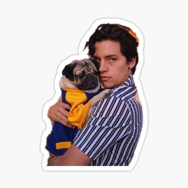 Cole Sprouse Sticker