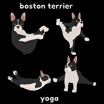 Yoga Poses demonstrated by Adorable Animals! - Jal Yoga