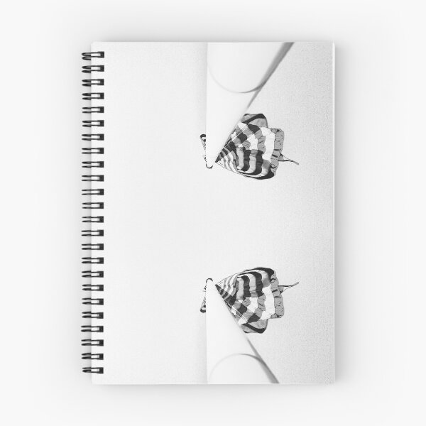 Item preview, 4 flag poles, black and white designed and sold by dnparker.