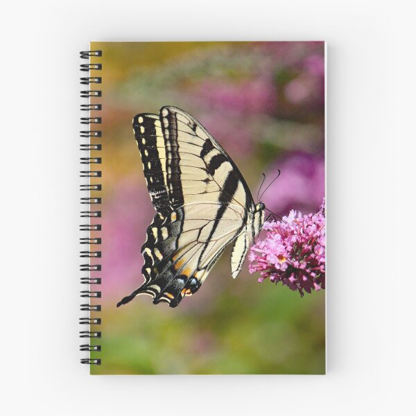 Item preview, Tiger Swallowtail Butterfly 4310 designed and sold by Strawflower Oasis.