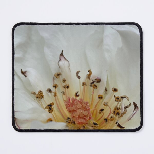 Item preview, Roses macro designed and sold by AnnasFloristry.