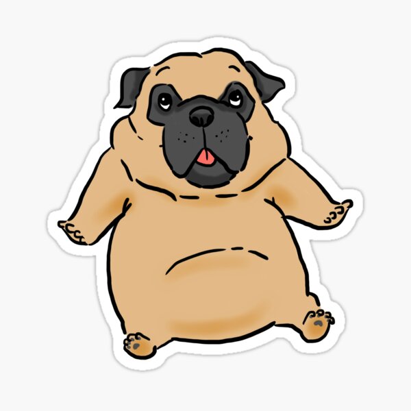 Cute Chubby Pug Puppy Cute Chubby Pug Puppy