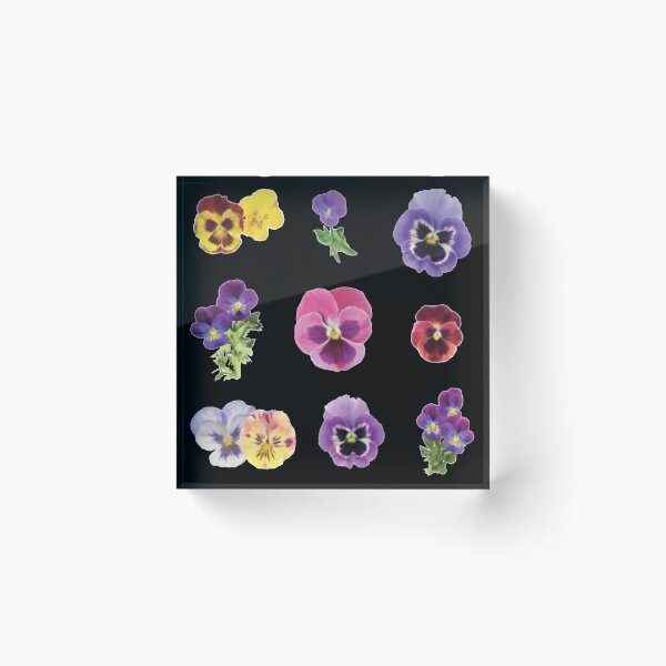 Item preview, Watercolor Violet Yellow Pink Flowers on Black designed and sold by Pavnud.
