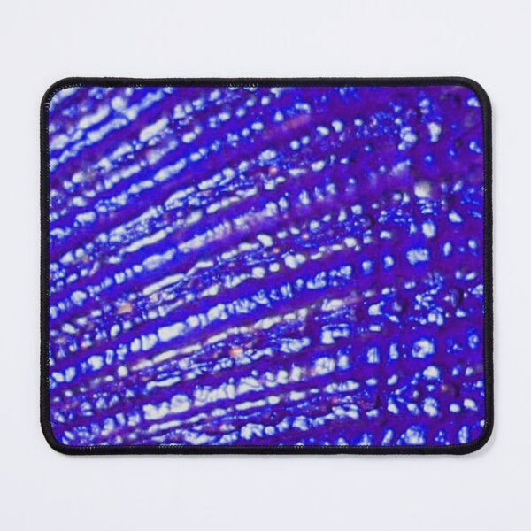 Item preview, Enchanted Seashell Blue Palette designed and sold by Niina  Niskanen.