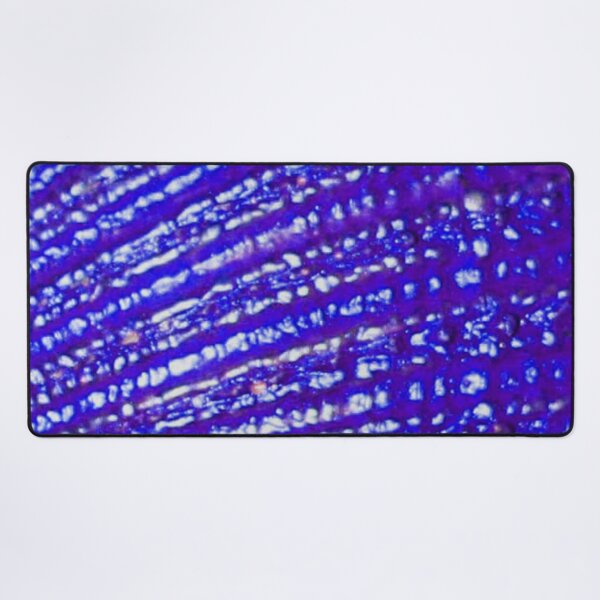 Item preview, Enchanted Seashell Blue Palette designed and sold by Niina  Niskanen.