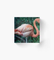Flamingo Portrait Acrylic Block