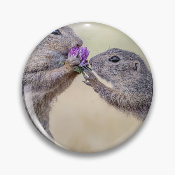 Item preview, Austrian Ground Squirrels eating Clover designed and sold by Tori Andrews.