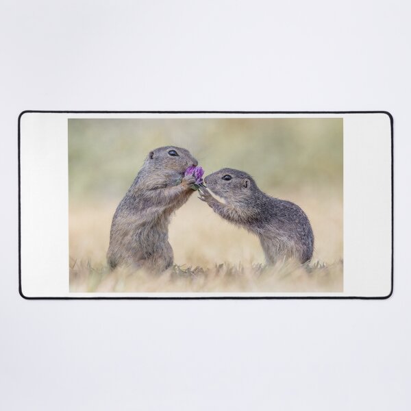 Item preview, Austrian Ground Squirrels eating Clover designed and sold by Tori Andrews.