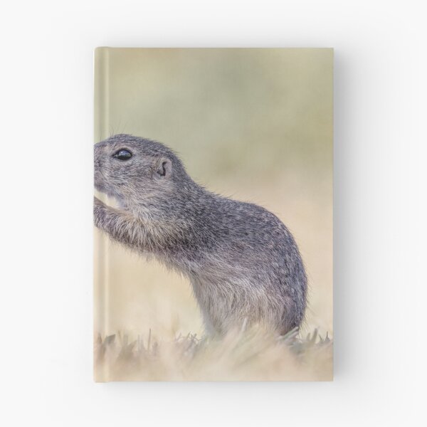 Item preview, Austrian Ground Squirrels eating Clover designed and sold by Tori Andrews.