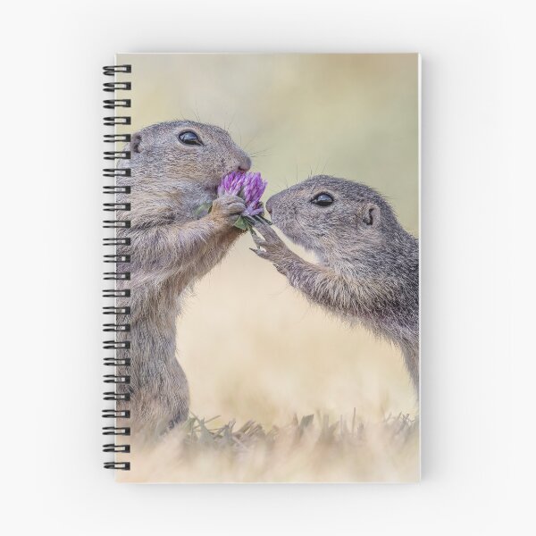 Item preview, Austrian Ground Squirrels eating Clover designed and sold by Tori Andrews.