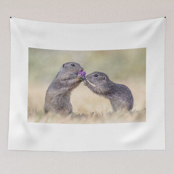 Item preview, Austrian Ground Squirrels eating Clover designed and sold by Tori Andrews.