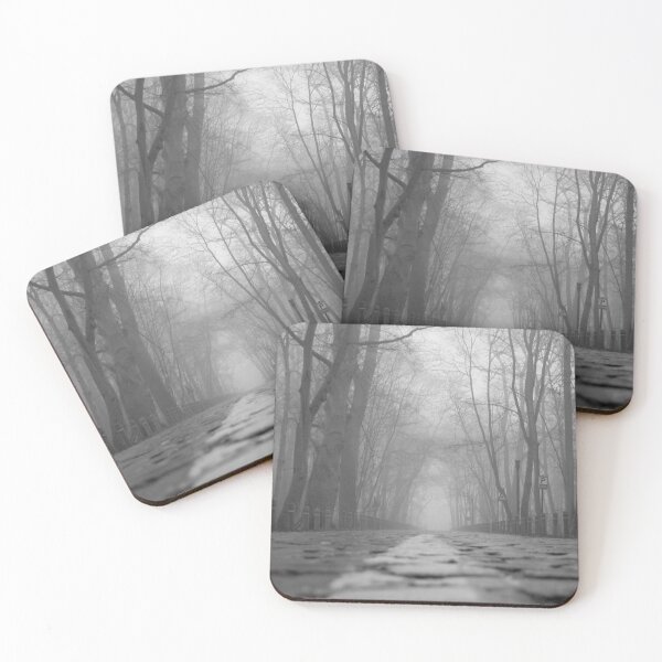 Item preview, Low view of the forest on a foggy morning. designed and sold by StudioKTO.