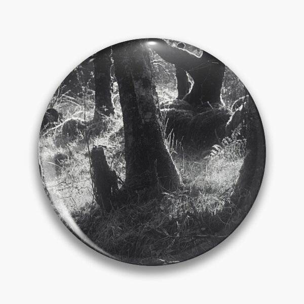 Item preview, Light Through Trees designed and sold by ShinyPhoto.