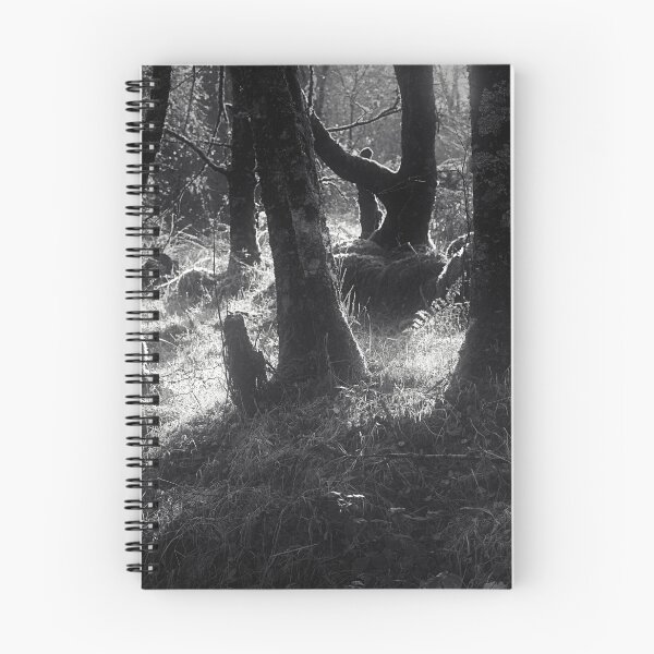 Item preview, Light Through Trees designed and sold by ShinyPhoto.