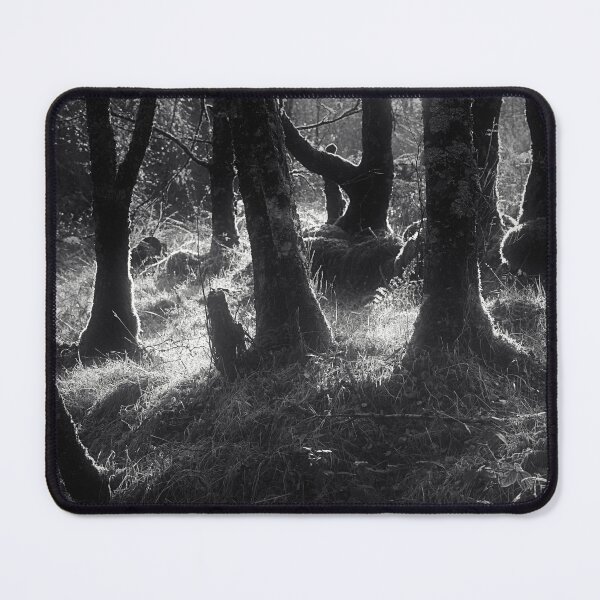 Item preview, Light Through Trees designed and sold by ShinyPhoto.