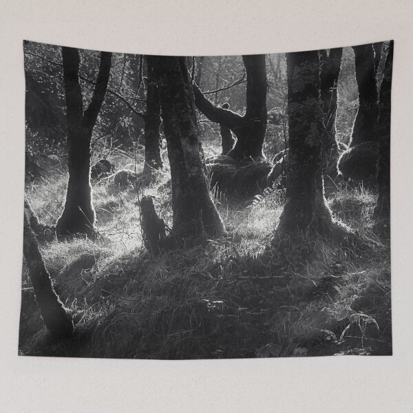 Item preview, Light Through Trees designed and sold by ShinyPhoto.