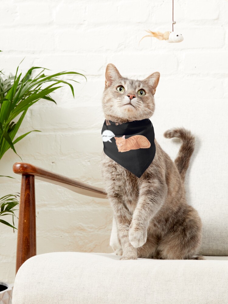 Alternate view of Sarcastic Lion and Cat Pet Bandana