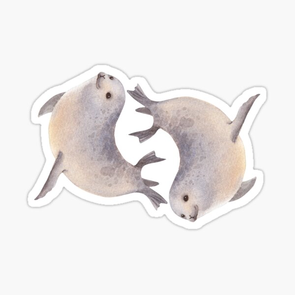 Yin Yang Seals Sticker