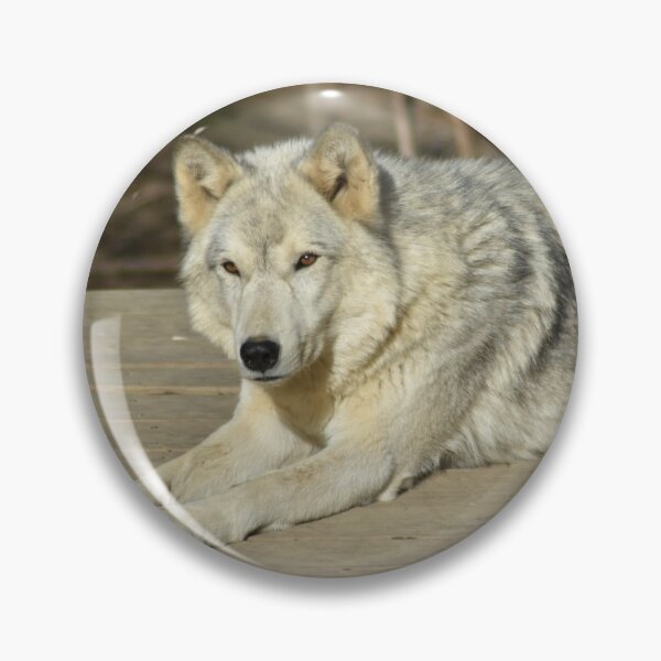 Item preview, Grey Wolf  designed and sold by MarieDarcy97.