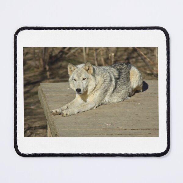 Item preview, Grey Wolf designed and sold by MarieDarcy97.