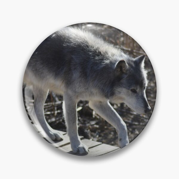 Item preview, Grey Wolf designed and sold by MarieDarcy97.