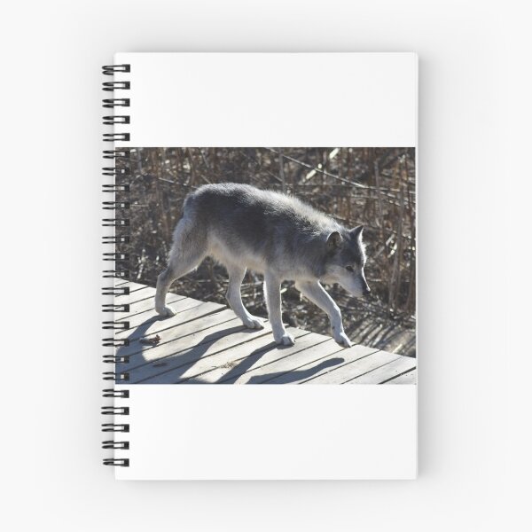 Item preview, Grey Wolf designed and sold by MarieDarcy97.