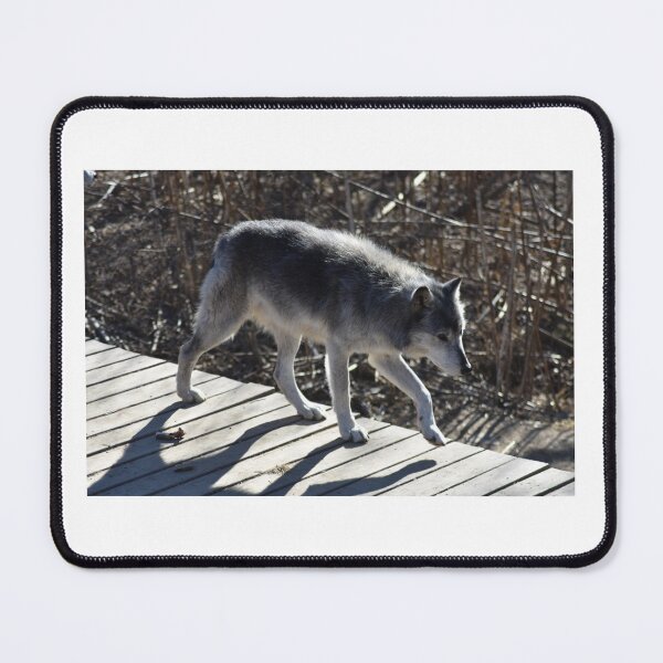 Item preview, Grey Wolf designed and sold by MarieDarcy97.