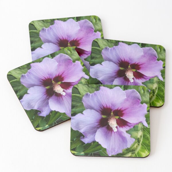 Item preview, Hibiscus designed and sold by heatherfriedman.