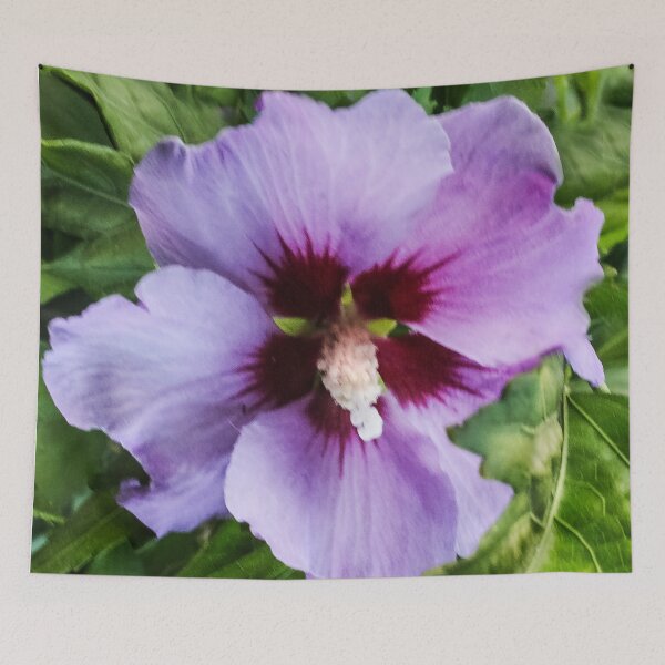 Item preview, Hibiscus designed and sold by heatherfriedman.