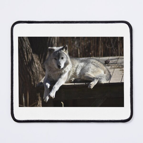 Item preview, Grey Wolf designed and sold by MarieDarcy97.