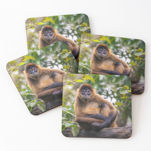 Item preview, Central American Spider Monkey designed and sold by OAwildlife.