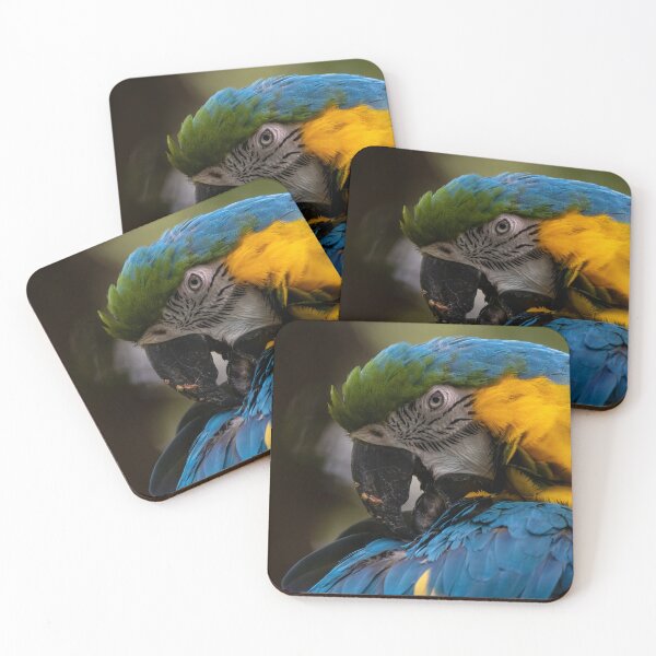 Item preview, Blue and Yellow Macaw designed and sold by OAwildlife.