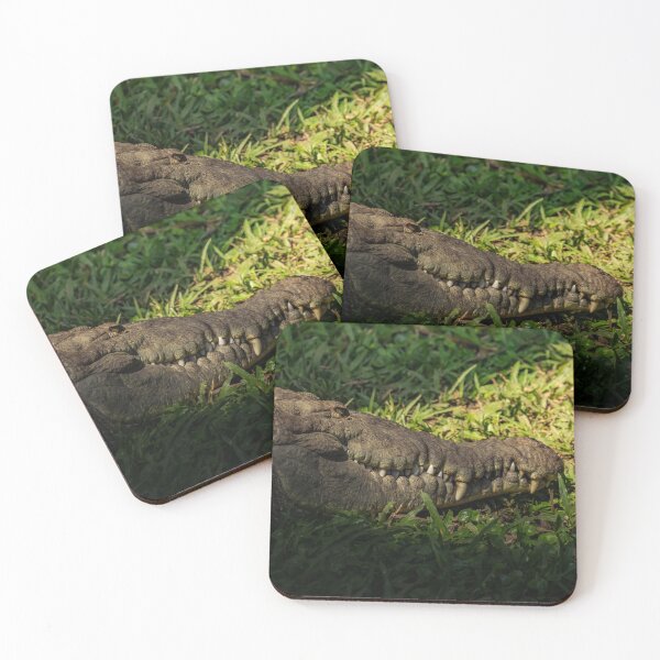 Item preview, American Crocodile designed and sold by OAwildlife.