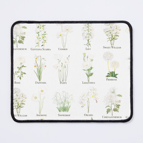 Item preview, white flowers watercolour and ink collection hand painted designed and sold by ColorandColor.