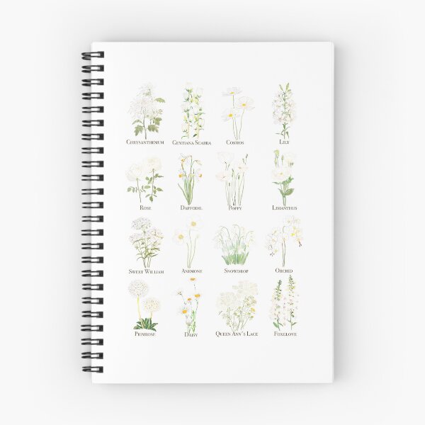 Item preview, white flowers watercolour and ink collection hand painted  designed and sold by ColorandColor.